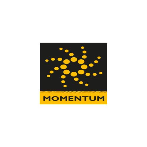 Momentum Asansör